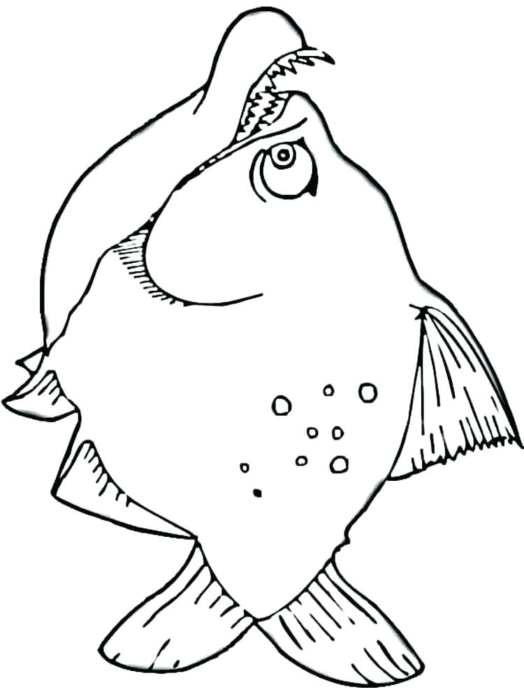 750x1000 Lionfish Coloring Page