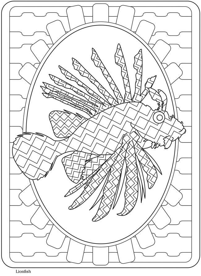 650x893 Creative Haven Sealife Lionfish Welcome To Dover Publications