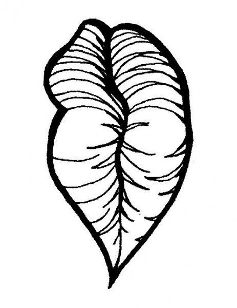 Lips Coloring Page
