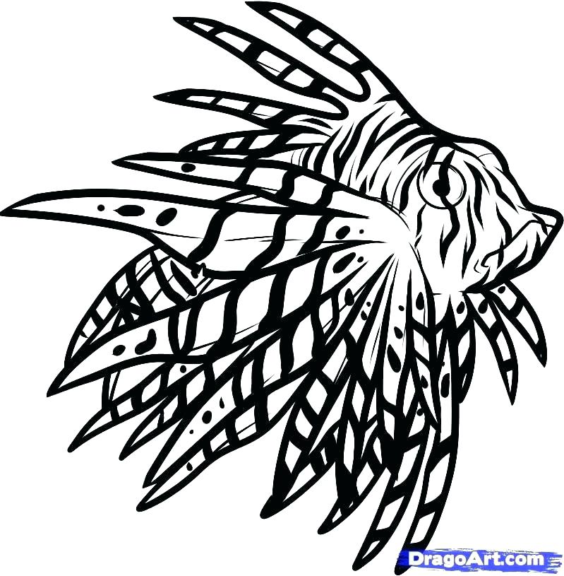 799x815 Lips Coloring Pages Lips Coloring Page Large Size Of Lips Coloring