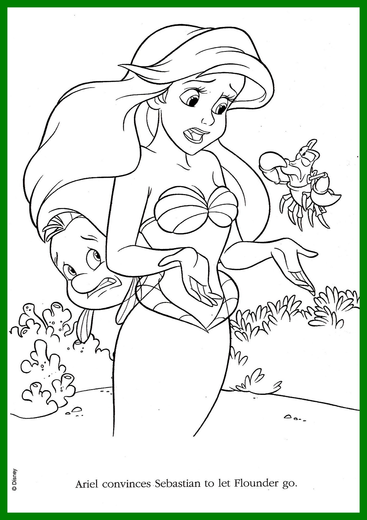 1499x2127 Inspiring Pin By Laura Bittner On Places To Mermaid For Flounder