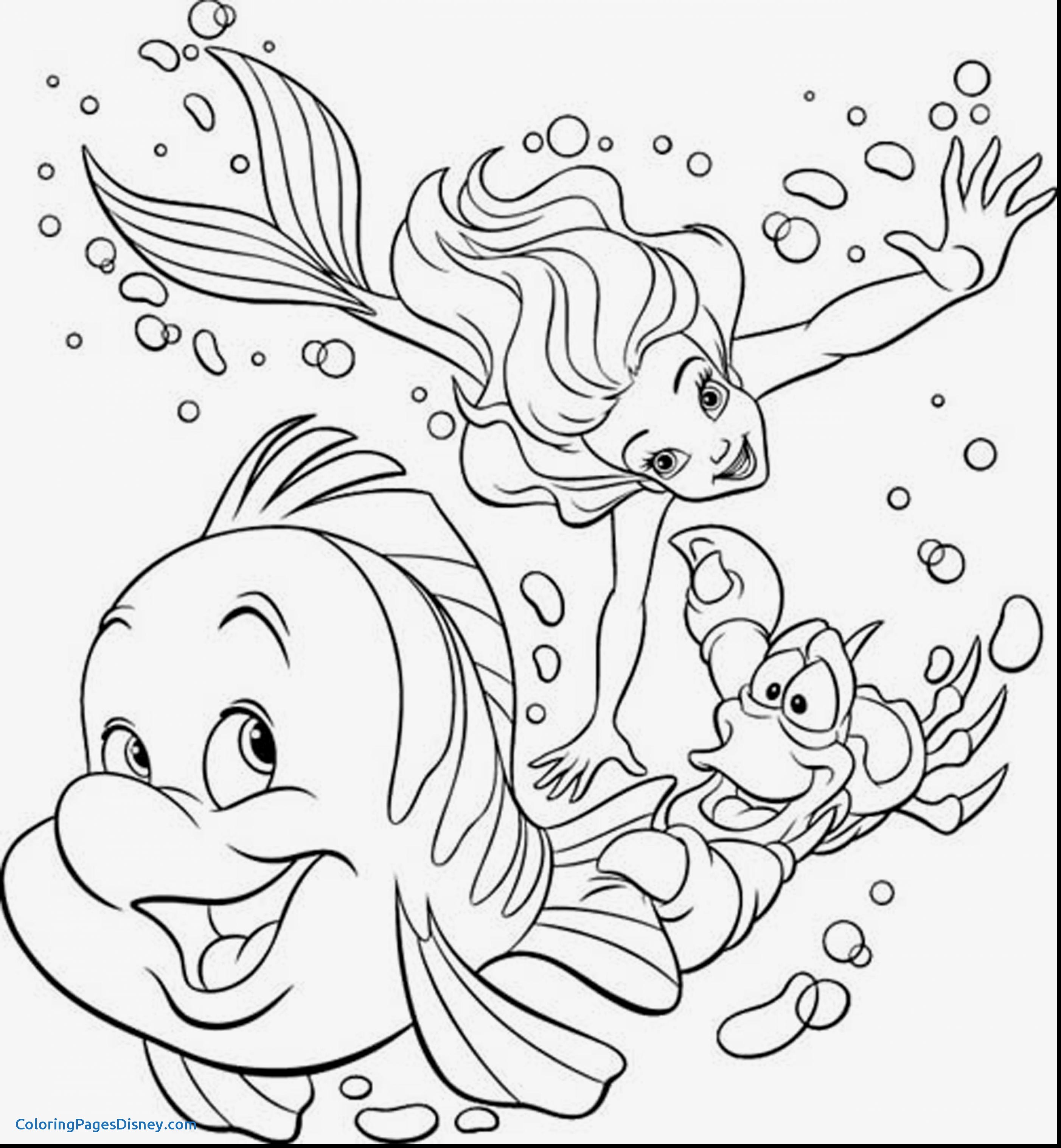 2805x3034 Little Princess Coloring Pages Luxury Disney Princesses Coloring