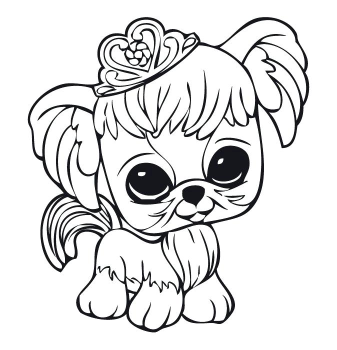 674x700 Cute Bunny Coloring Pages