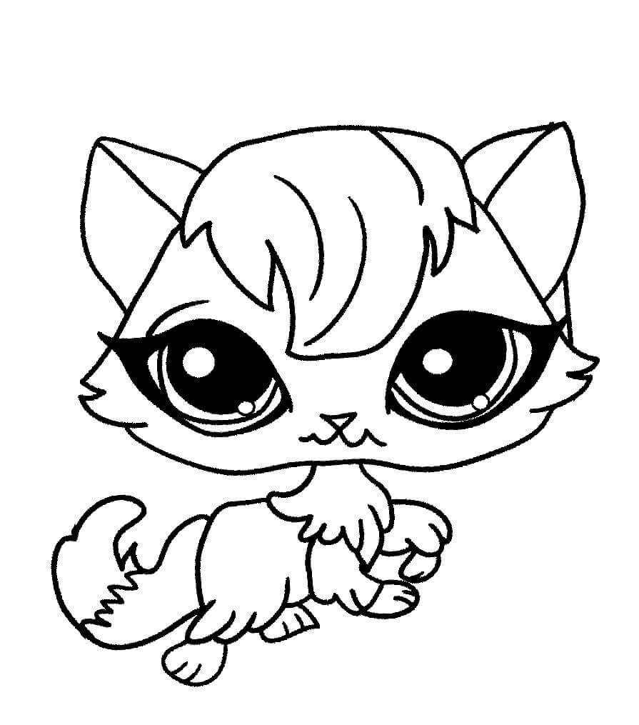 895x1015 Littlest Pet Shop Coloring Pages Madame Pom Lps Cat