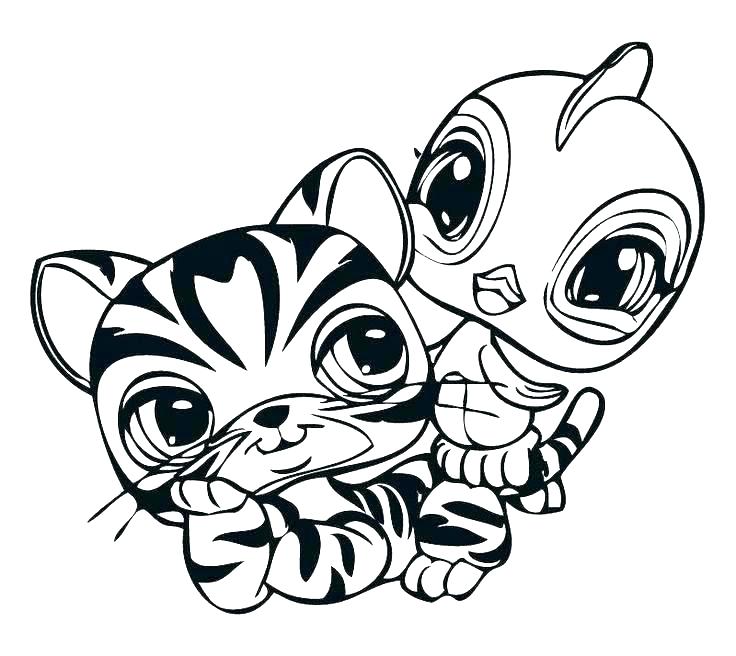 736x656 Lps Coloring Pages To Print Pet Shop Coloring Pet Shop Coloring
