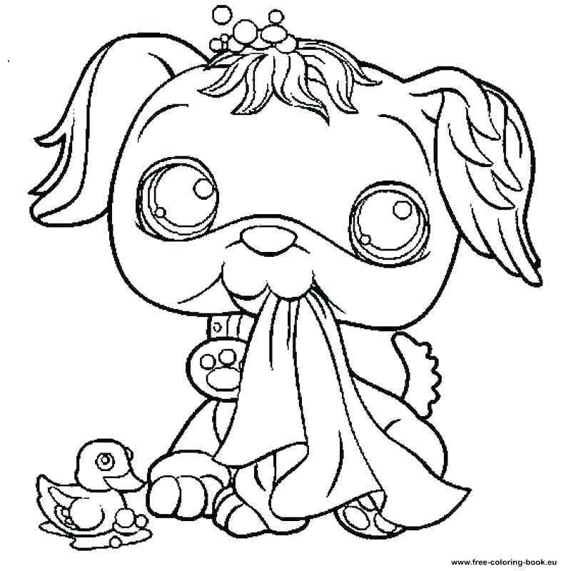 786x800 Littlest Pet Shop Color Littlest Pet Shop Coloring Page Littlest