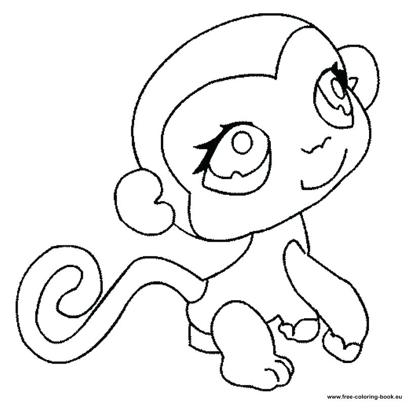 800x795 Littlest Pet Shop Coloring Book As Well As Coloring Book Also