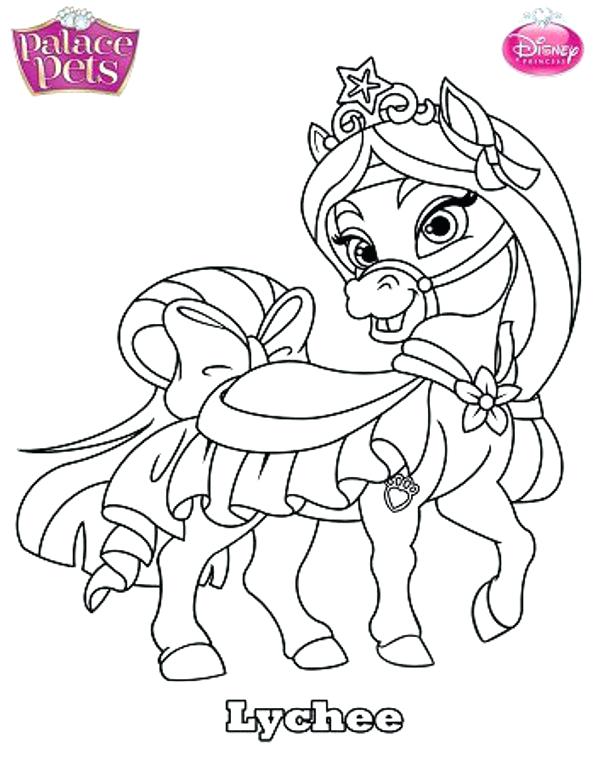 595x768 Pet Coloring Pages Extraordinary Pet Coloring Pages For Coloring