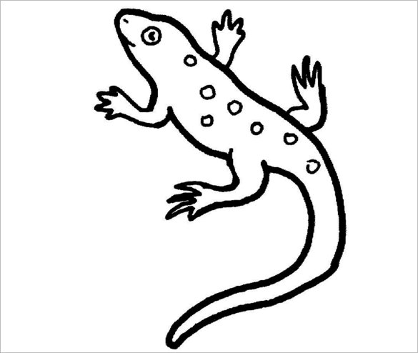 Lizard Coloring Pages For Kids