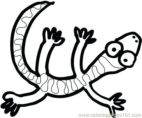 480x399 Coloring Pages Of Lizards