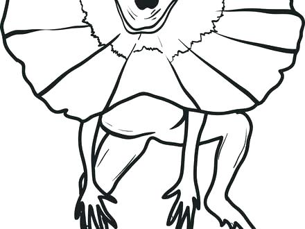 440x330 Lizard Coloring Book Unique Lizards Coloring Pages Kids Lizard Two