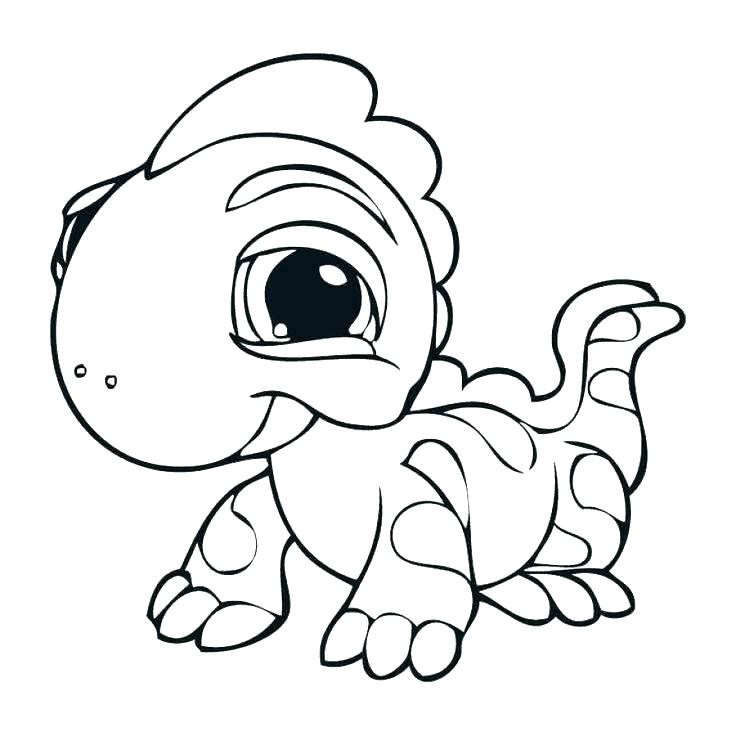 736x736 Lizard Coloring Pages Lizard Coloring Page Lizard Coloring Page
