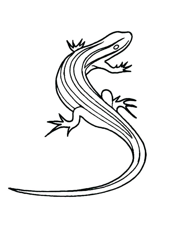 600x777 Lizard Man Colouring Pages Reptile Coloring Page Thick Lined