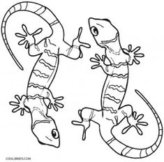 235x232 Cloring pages Printable Lizard Coloring Pages For Kids