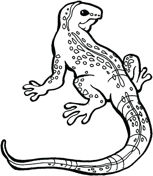 600x690 Spiderman The Lizard Coloring Pages Vanda