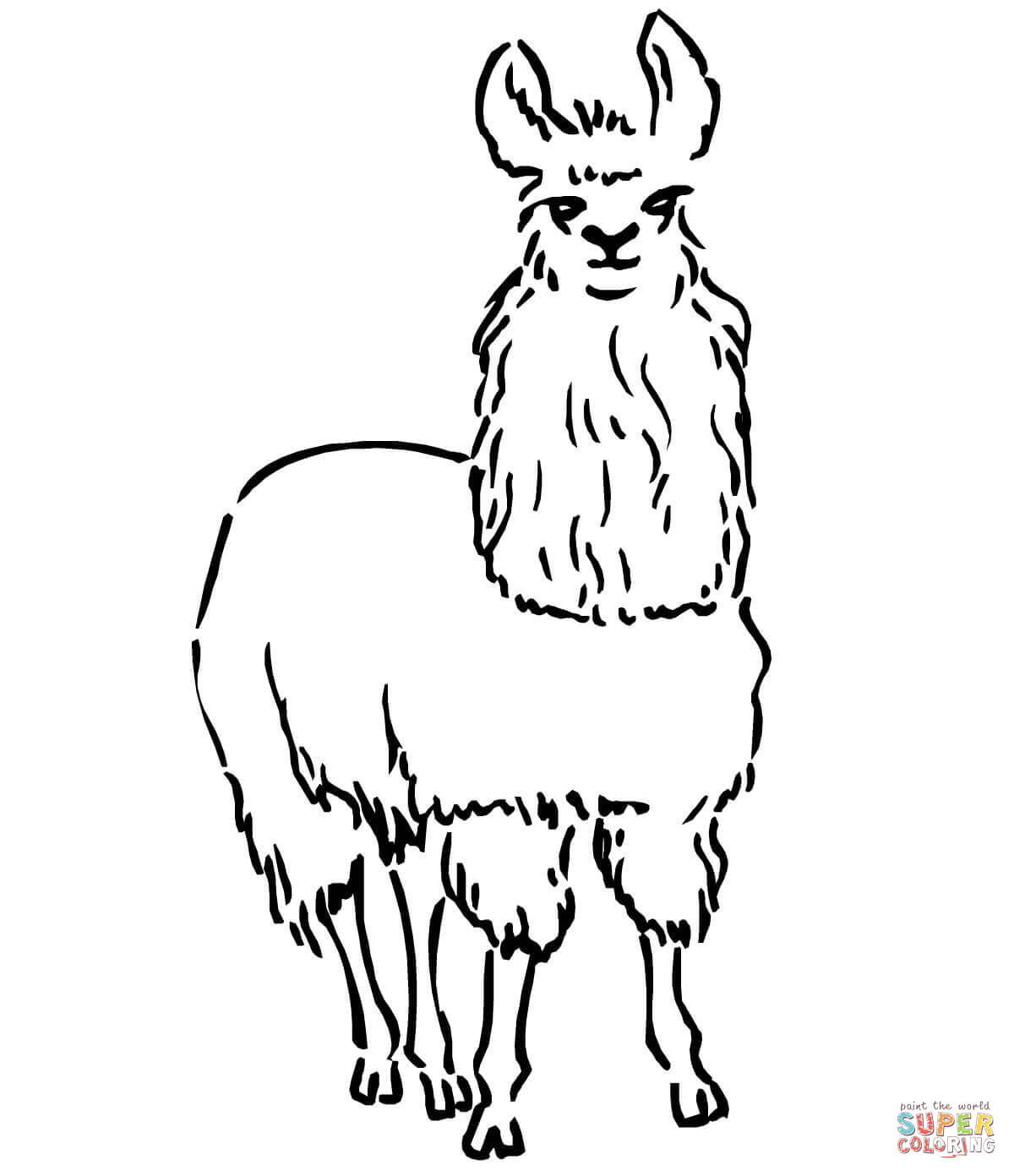 1200x1392 South American Llama Coloring Page