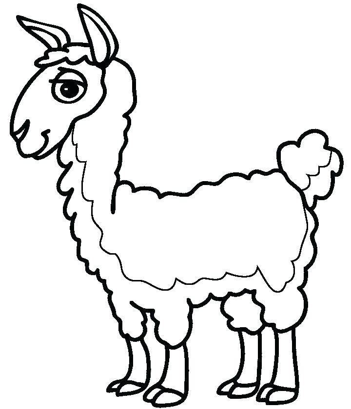 720x840 Alpaca Coloring Pages Llama Coloring Page Alpaca Coloring Pages Is