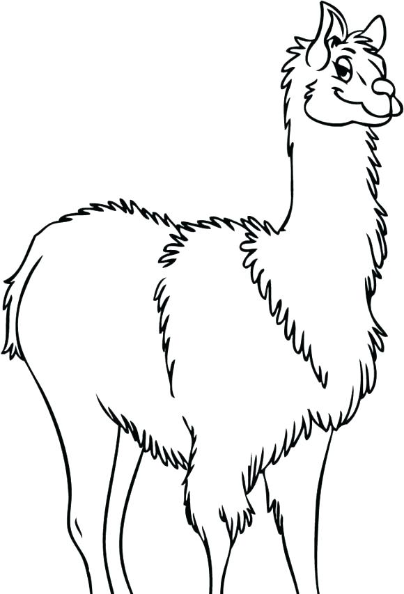 580x853 Llama Coloring Pages