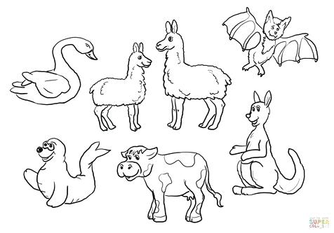 476x333 Llama Coloring Page Image Clipart Images Grig3org Huge Rack Pics