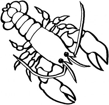 373x360 Lobster Coloring Page Coloring Page Art Outlines