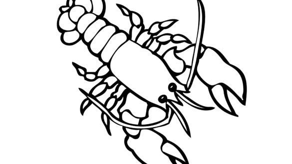 585x329 Lobster Coloring Page 17 With Lobster Coloring Page