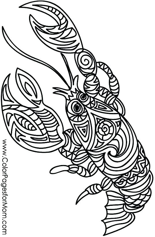 538x820 Lobster Coloring Page Best 3 4 3 4 Images On Coloring Books