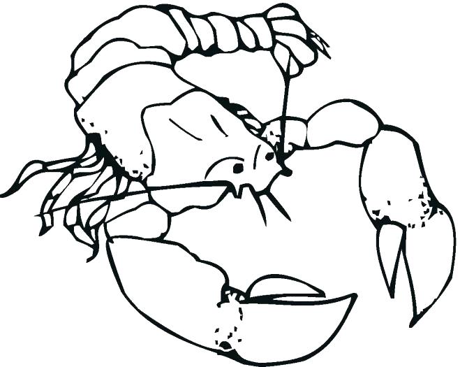 659x525 Lobster Coloring Page Lobster Coloring Page Lobster Coloring