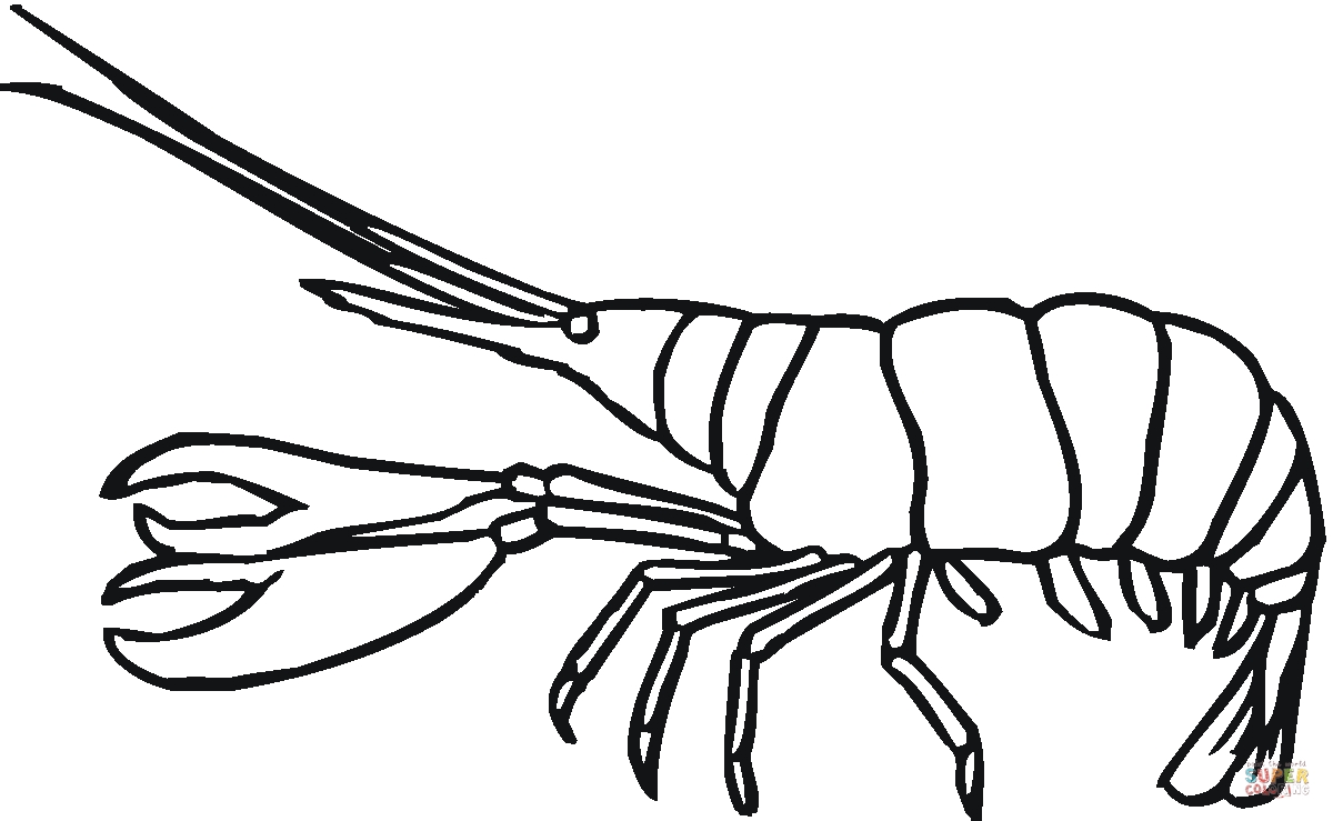 1200x739 Best Of Lobster Page To Color Gallery Printable Coloring Sheet