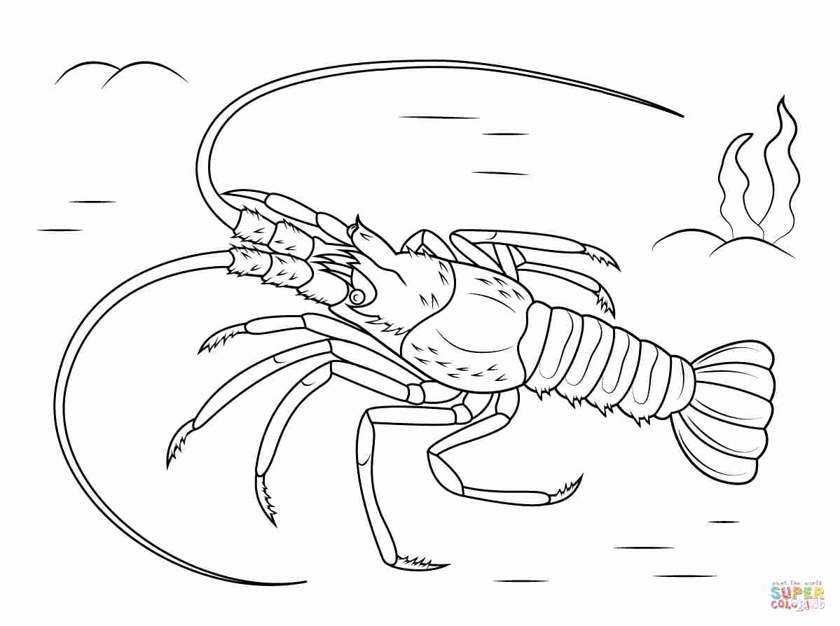 1199x894 Mediterranean Lobster Coloring Page Free Printable Pages Brilliant