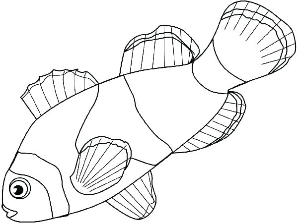 600x452 Clown Coloring Page Clowns Coloring Pages Clown Fish Coloring