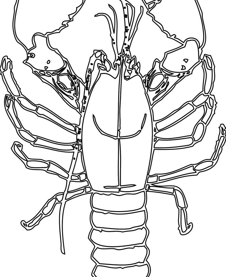 736x900 Coloring For Kids Stirring Lobster Pages Larry Trap Red Boat Sea