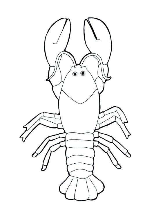 531x750 Coloring Page Lobster Coloring Page Lobster Lobster Boat Coloring