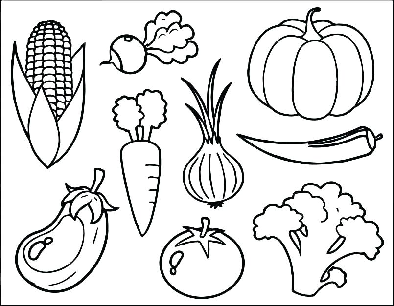 805x627 Poinsettia Coloring Page Blooming Poinsettia Coloring Page