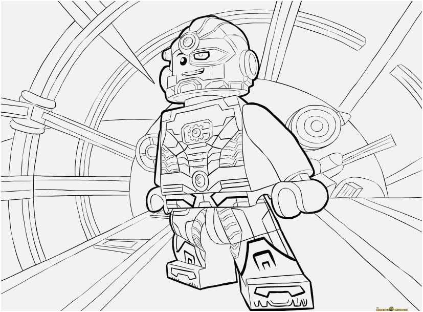 827x609 Bridge To Terabithia Coloring Pages Unique Exelent Bridge Coloring