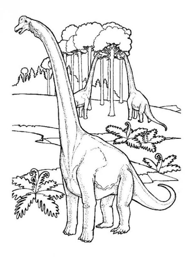617x822 Printable Argentinosaurus Coloring Pages Logan's First Science