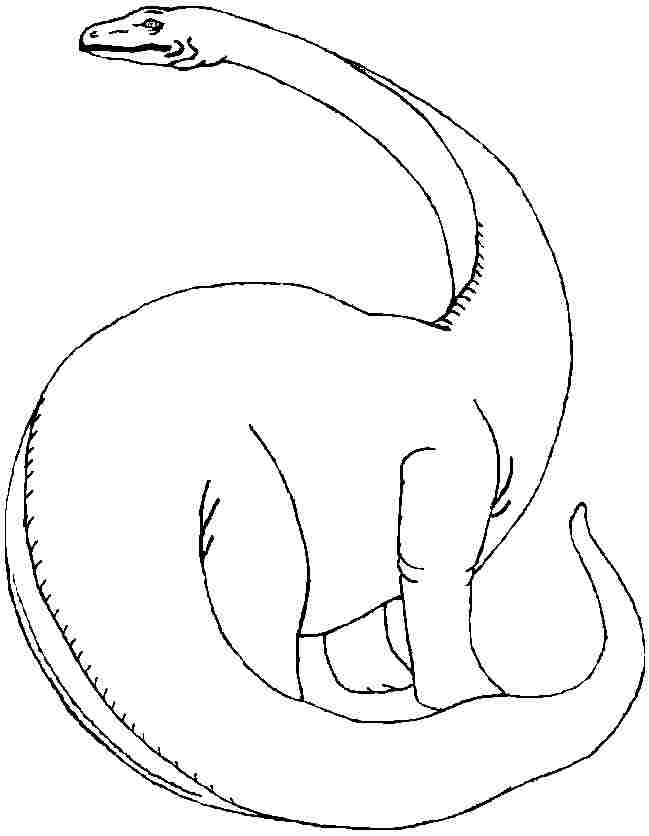649x836 Brontosaurus Coloring Pages