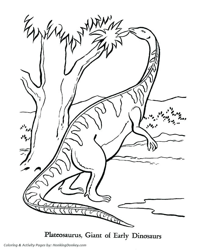 670x820 Coloring Page Magnificent Marvelous Long Neck Dinosaur Online