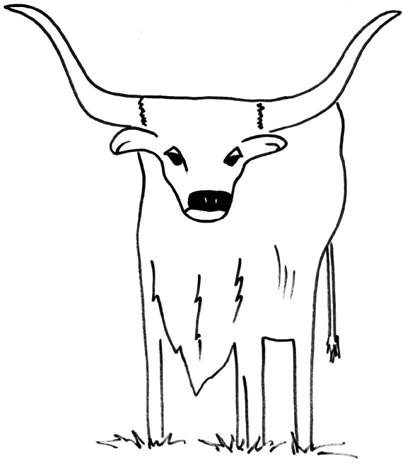 Longhorn Coloring Page