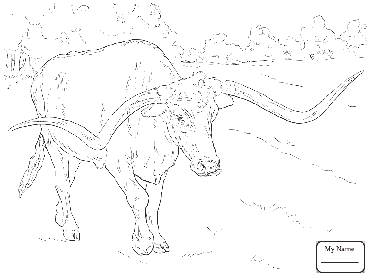 1224x918 New Longhorn Coloring Pages Gallery Printable Coloring Sheet