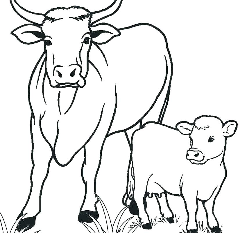 850x800 Book Coloring Pages Coloring Book App Cow Is Cattle Coloring Pages