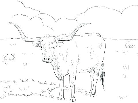 480x360 Texas Coloring Sheet Coloring Sheet Symbols Worksheets State