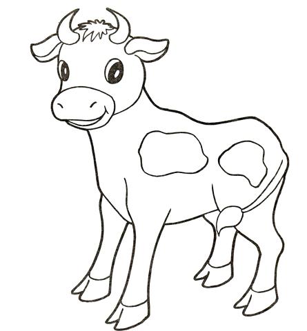 445x480 Texas Longhorns Coloring Pages Bull Calf Baby With Cute Smile Cow
