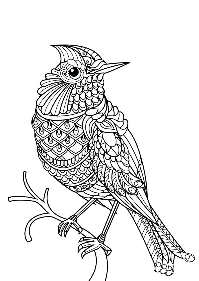 687x971 Lakers Coloring Pages La Kids Coloring Pages Los Angeles Lakers