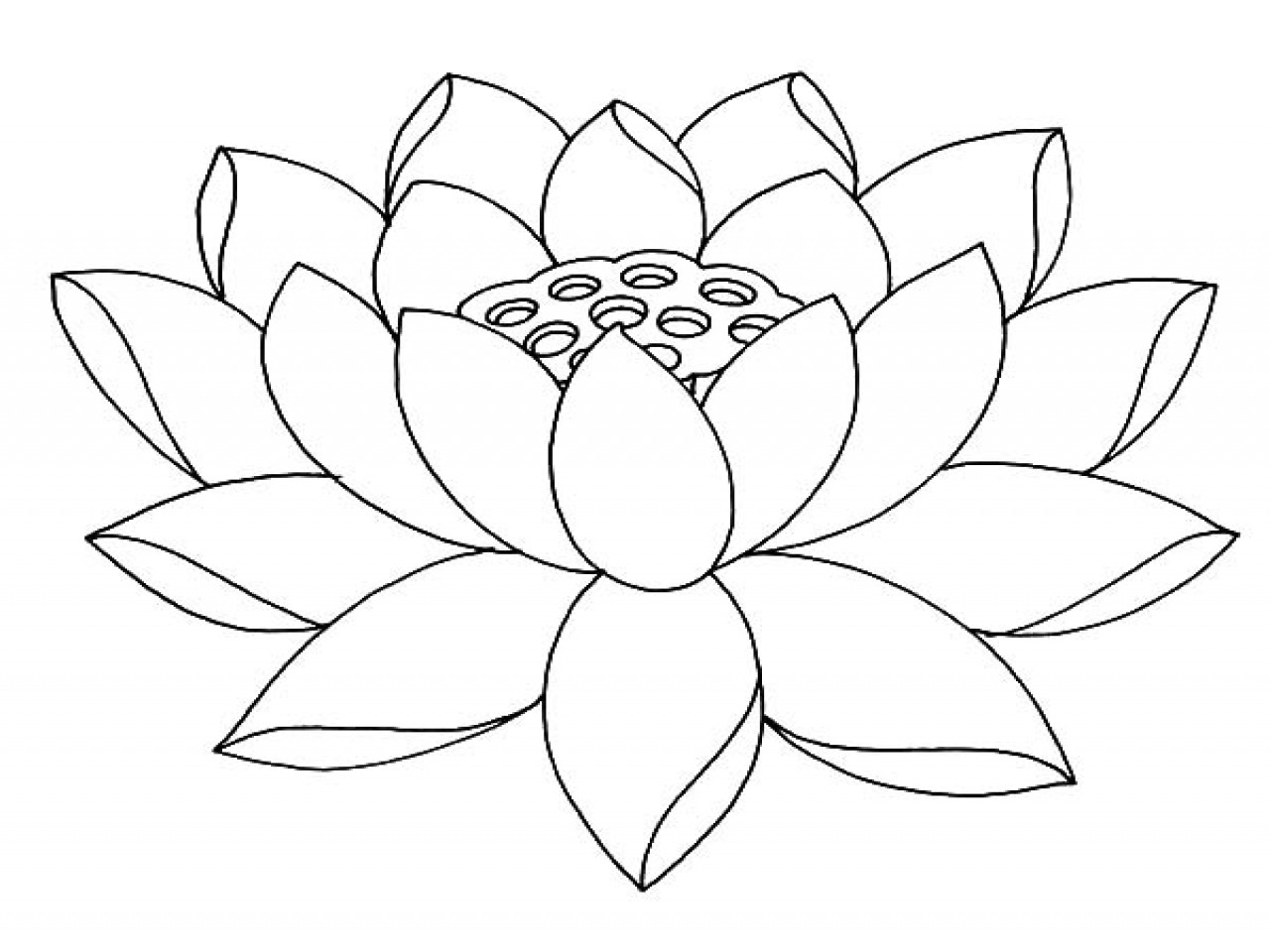 1280x960 Free Printable Lotus Coloring Pages For Kids Arresting Flower Page