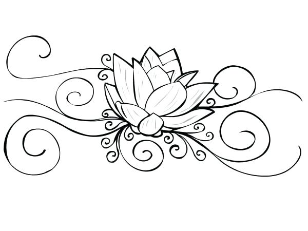 600x450 Idea Lotus Flower Coloring Page And Lotus Flower Tattoo Coloring