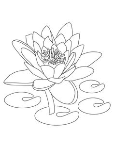 236x305 Lotus Flower, Floral Lotus Flower Design Coloring Pages Floral