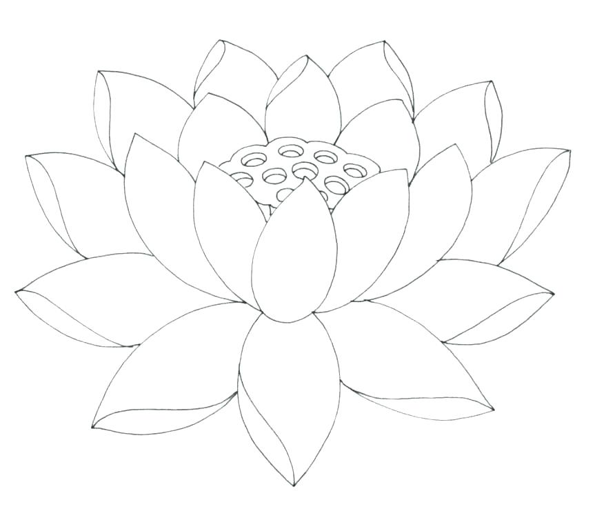 863x754 Flower Coloring Pictures Printable Free Printable Coloring Pages