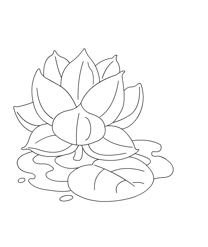 662x786 Free Printable Lotus Coloring Pages For Kids