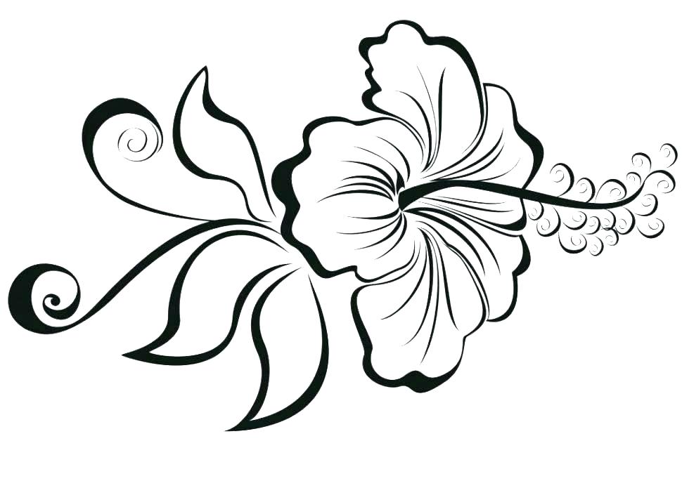 970x685 Mandala Flower Coloring Pages Difficult Printable Coloring Lotus