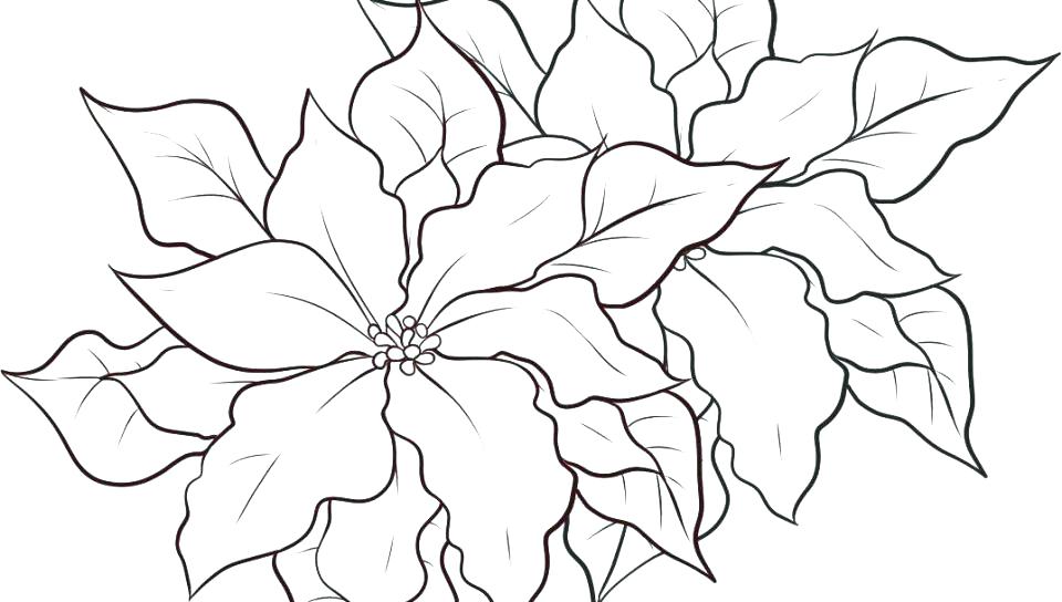960x544 Excellent Lotus Flower Coloring Page Flower Coloring Pages